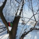 보개농업협동조합 이미지