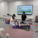 멍냥멍냥 이미지