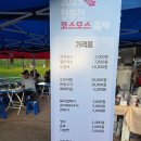 강매동 석교 | 고양 코스모스, 창릉천 코스모스 축제 개화상황, 후기, 주차장 정보