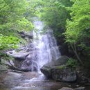 맑은물소리 이미지