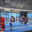 팀 몬스터 복싱 이미지