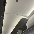 비상구 | 인천-세부 세부퍼시픽 후기, 비상구 좌석(현장지정)