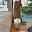 타피오 | 내돈내산 스타벅스 피스타피오 초콜릿 마카롱 후기 - 덜 달아서 재구매각