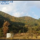 자양면-삼귀리-12