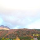 산밑포도농장
