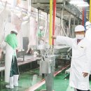 보성녹차돼지 이미지