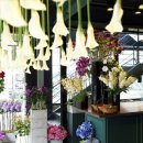 플로리스트(B) 이미지