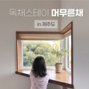 머무른채 이미지