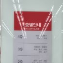 둔산중로-47 네이버블로그