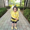 예쁜꼬마어린이집 | 어린이집 유아 할로윈코스튬 등원룩 오즈키즈 옐로비 꿀벌룩 추천
