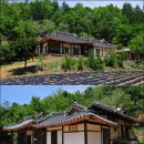 봉화 금씨 군위공종택