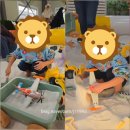 베베농장 | 인천 키즈카페 베베팜 실내 실외 놀이터 아이와 가기 좋아