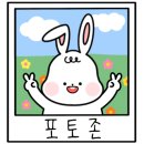 미대이모 이미지