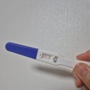 유한회사 이둔호텔 | [임신6주차] 민유선 산부인과 신제일산부인과 임신확인 &amp; 올리비움 산후조리원 계약 및 임신 6주차 일상
