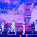 광주미트 뉴스엔