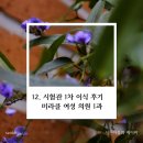 배의원 | 12. 대구 미라클 여성의원 박동수 원장님 시험관 이식 후기 PGT 통배 감자배아