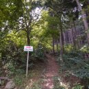 장성편백숲황토펜션 이미지