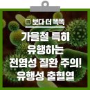 가을철 특히 유행하는 전염성 질환 주의! 유행성 출혈열 이미지