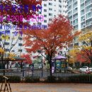 신성아파트 이미지