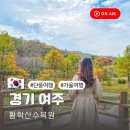 그늘막82 | 경기도 가을 단풍나들이 여주 황학산수목원 실시간 현황 시티투어
