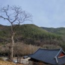 응석사 - 991 | 응석사