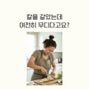 하이미