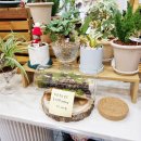 꽃사슴화원 이미지