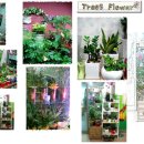 내곡동702 이미지