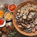 조개본능 이미지