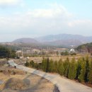 죽엽산농장 이미지