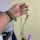 반디불이 민박 이미지