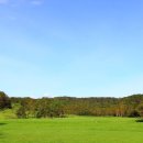 탑골프클럽 이미지