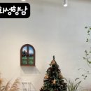 시더트리