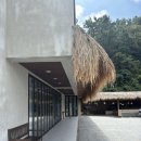 바이윤 | [남해] 쏠비치 근처 미조 동남아 음식 맛집, 남해에서 만나는 발리 감성, 내돈내산 솔직후기 “바이윤”