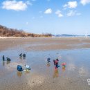 인천특산물 인천투데이