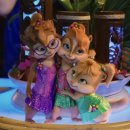 다하네 손칼국수 | 📁2025_08.zip