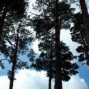 가브리엘 캐롬클럽 이미지