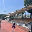 월드컵인라인스케이트장 이미지