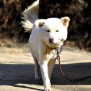 금풍농장 이미지