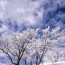 참 동물병원 이미지