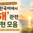 조각꽃피다