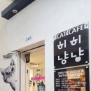 히히냥냥 | 강남 고양이 카페, 히히냥냥! 17개월 아기랑 방문후기