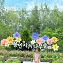 연꽃호수펜션 | 경기 용인자작나무숲 8월 여름 꽃축제