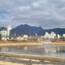 영광솔공인중개사사무소 | 철학] "소장님, 아까 본 그 땅 어디 갔나요?" 강산공인중개사가 '거래 완료' 매물을 즉시 삭제하는 이유