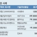 먼디파마유한회사 | [신약 기술수출 '허와 실']②기술수출 거품일까 "악마는 디테일이 있다"