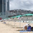 해운대해수욕장 이미지