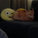 영어는 내 친구 이미지