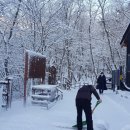 석달열흘가리 이미지