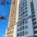 르네펫살롱 이미지