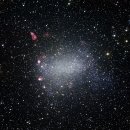 생명의 시작 이미지